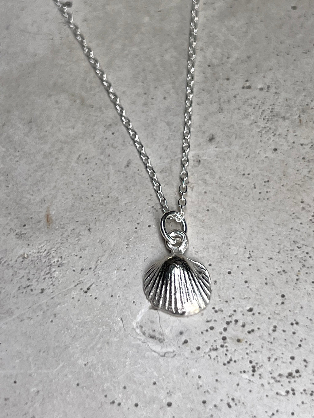 Silbermuschel 925 Silber