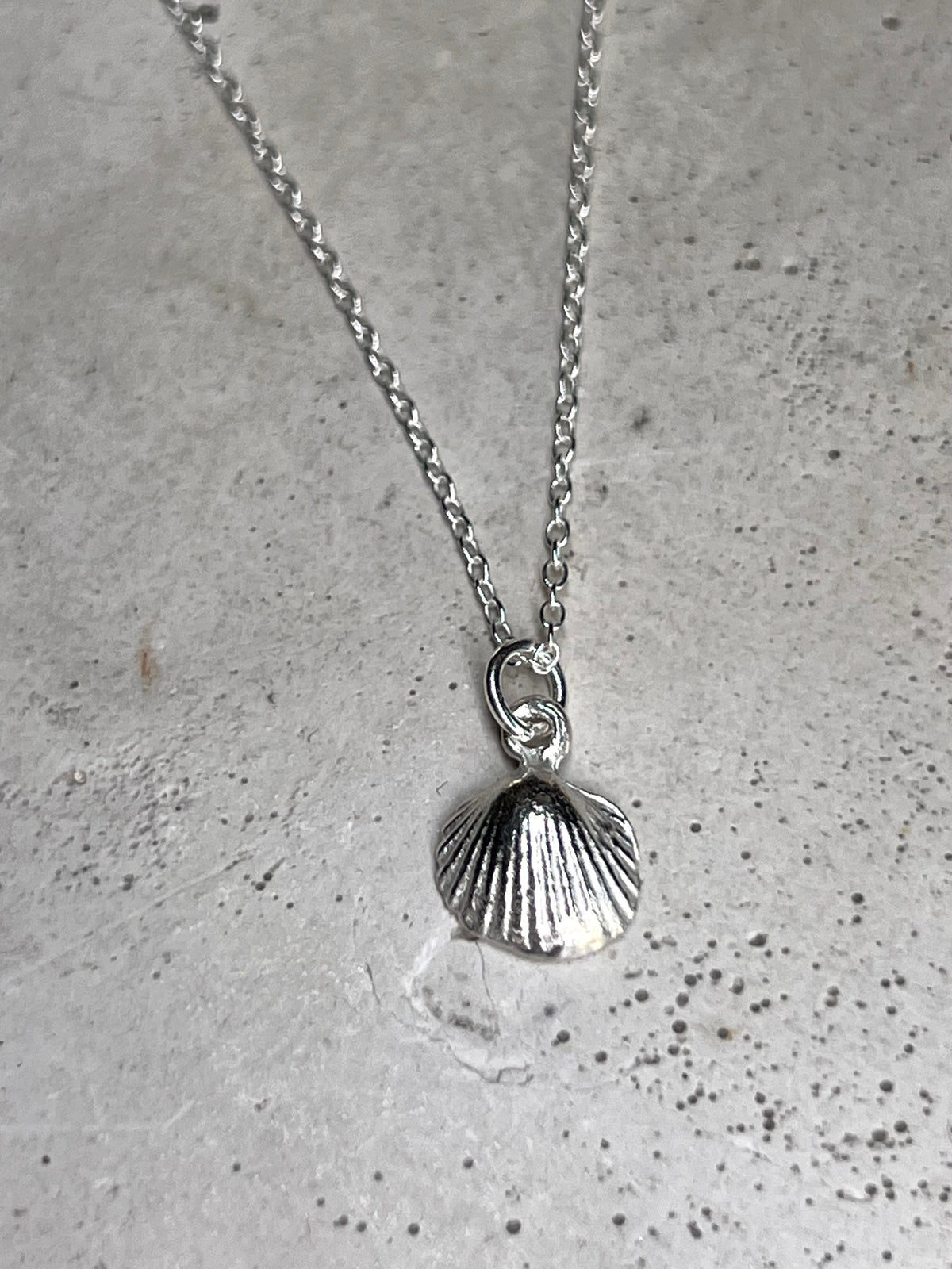 Silbermuschel 925 Silber