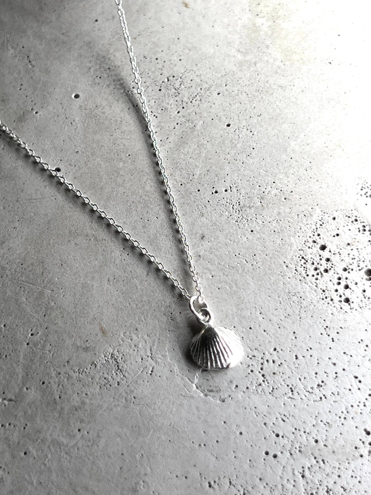Silbermuschel 925 Silber